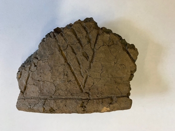 Fragment of urn uncovered at Kenyon Hall