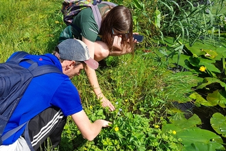 Looking at aquatic plants along The Kingfisher Trail