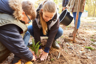 Two children planting a small green plant in the soil