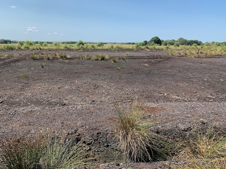 Bare peat at Little Woolden Moss