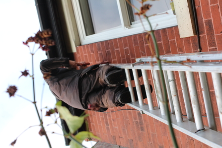 Installing swift boxes in Stockport (c) Cheshire Wildlife Trust