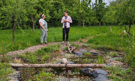 The thriving new pond