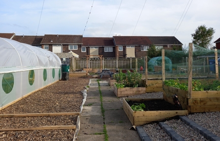 The 'Vitality Gardens' Green Spaces Fund project has fully restored an abandoned allotment in Tameside - Community Matters 