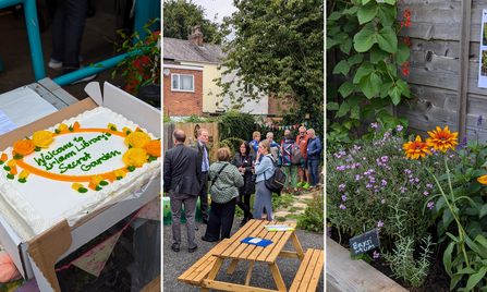 The grand opening of the garden was full of people, colour, and cake!