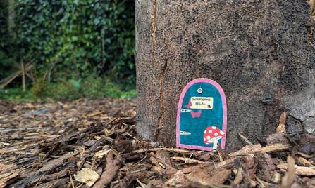 There are hidden fairy doors dotted around the Secret Garden