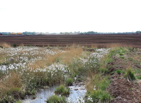 View of Chat Moss, Salford