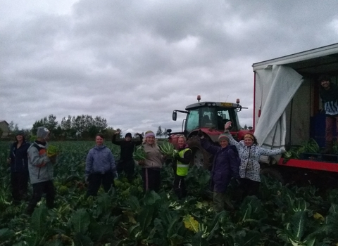 Manchester Urban Diggers go gleaning