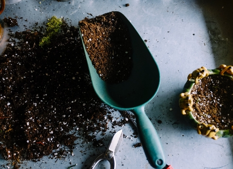 Photo of soil scattered on a worktop next to a trowel for gardening.