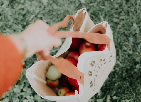 Image looking down into bag of a variety of fruits